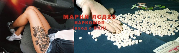 дмт Алзамай