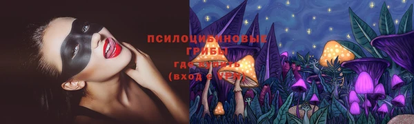 a pvp Алексеевка