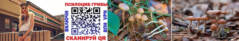 Псилоцибиновые грибы MAGIC MUSHROOMS наркошоп Заволжск